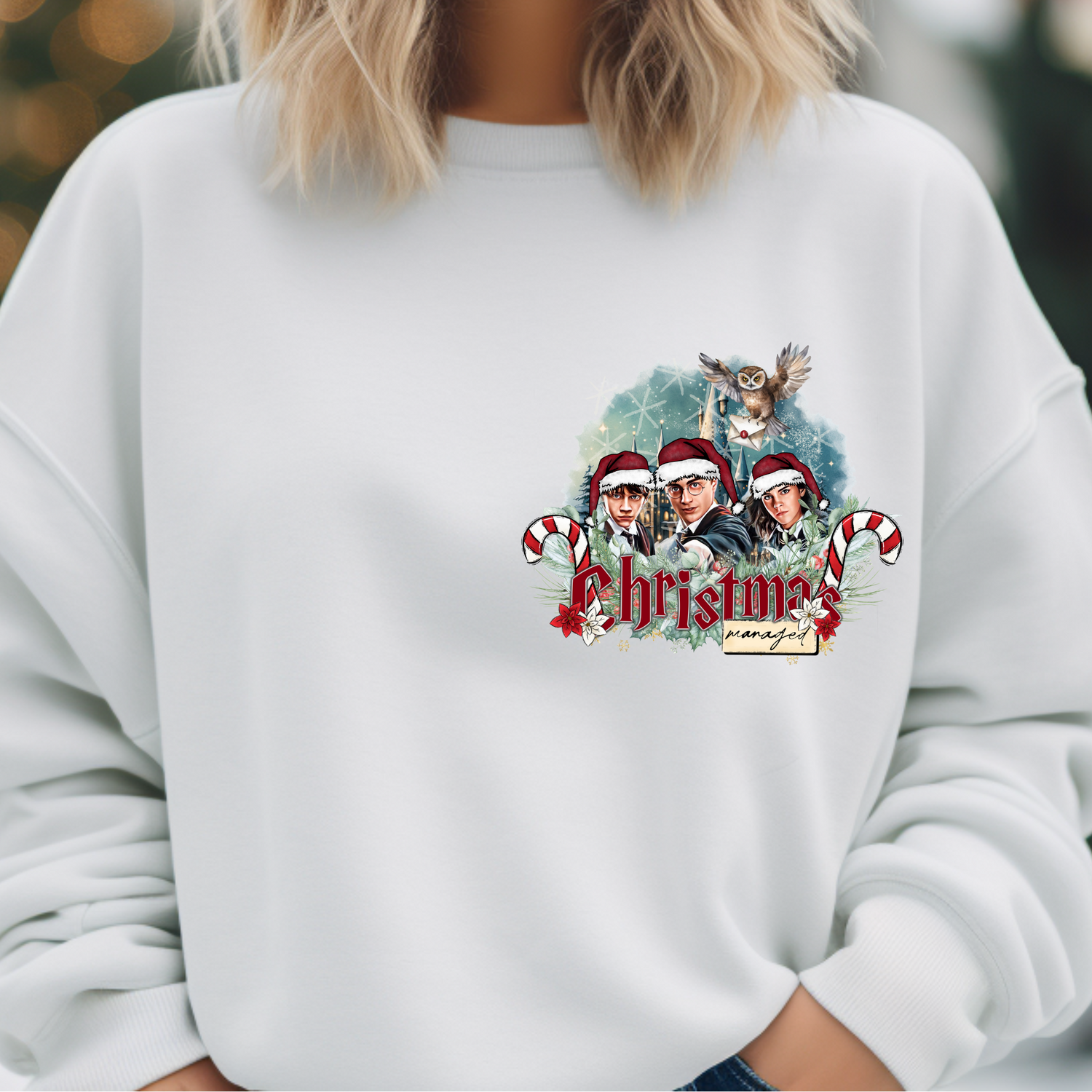 Christmas Trio design printed on soft cotton tee and sweatshirt, featuring holiday themed t-shirt